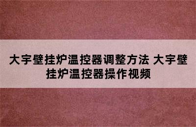 大宇壁挂炉温控器调整方法 大宇壁挂炉温控器操作视频